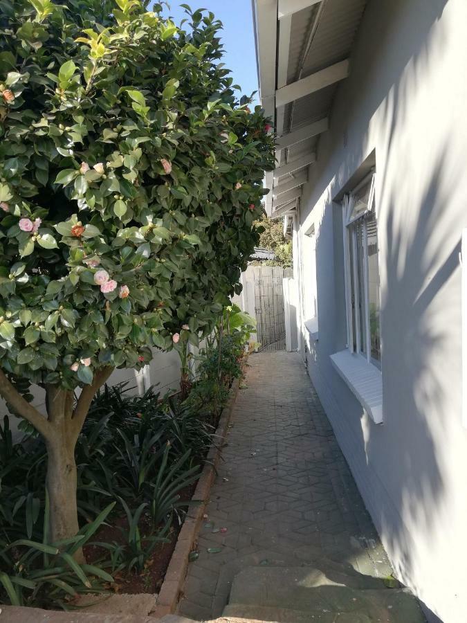 Willow Guest House Boksburg Ngoại thất bức ảnh